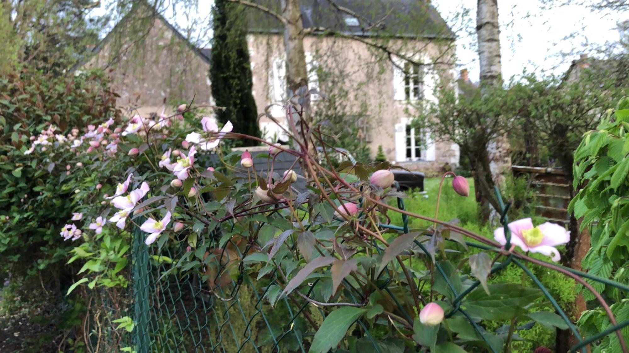 La Thibautiere Bed & Breakfast Blaison Luaran gambar