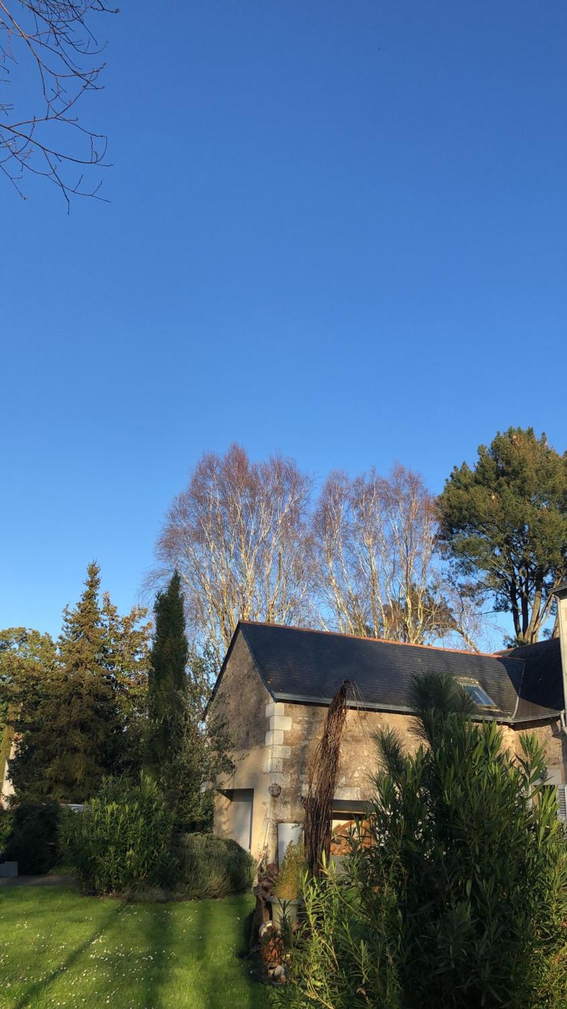 La Thibautiere Bed & Breakfast Blaison Luaran gambar